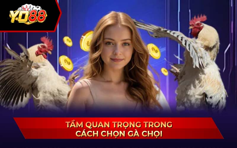 Cách Chọn Gà Chọi