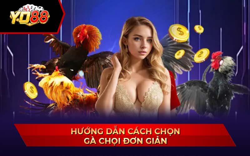 Cách Chọn Gà Chọi