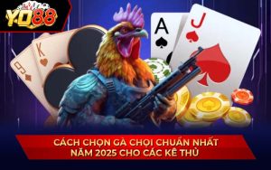 cách chọn gà chọi