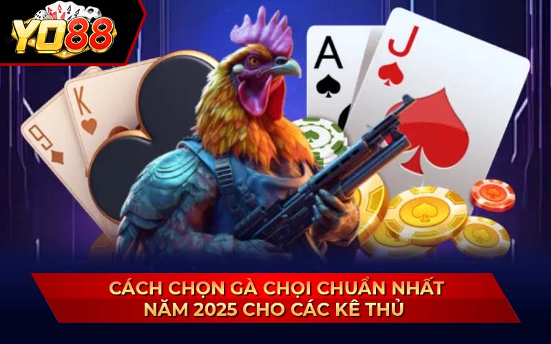 Cách Chọn Gà Chọi