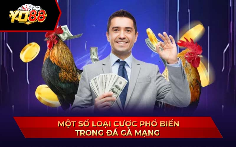 Đá gà mạng là gì?