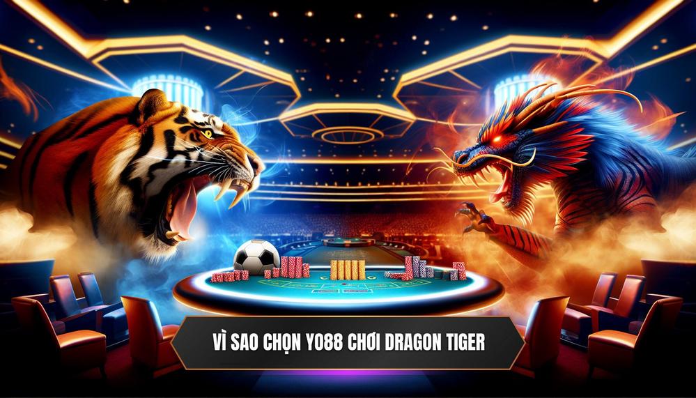 Vì Sao Chọn Yo88 Chơi Dragon Tiger