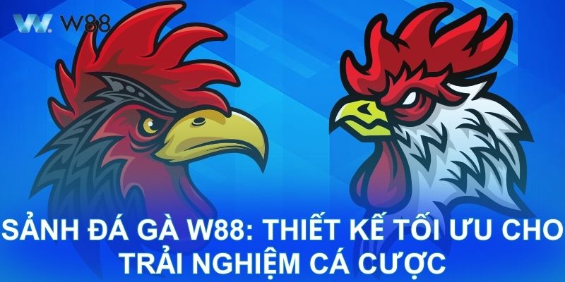 Đánh Giá Khách Quan W88: Sảnh Đá Gà Đậm Chất Giải Trí Sảnh Đá Gà W88: Thiết Kế Tối Ưu Cho Trải Nghiệm Cá Cược